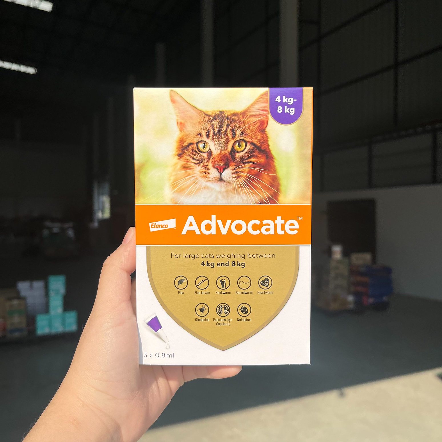 Advocate-C (ม่วง) นน.4-8Kg 3หลอด ยาหยด เห็บ หมัด พยาธิ หนอนหัวใจ
