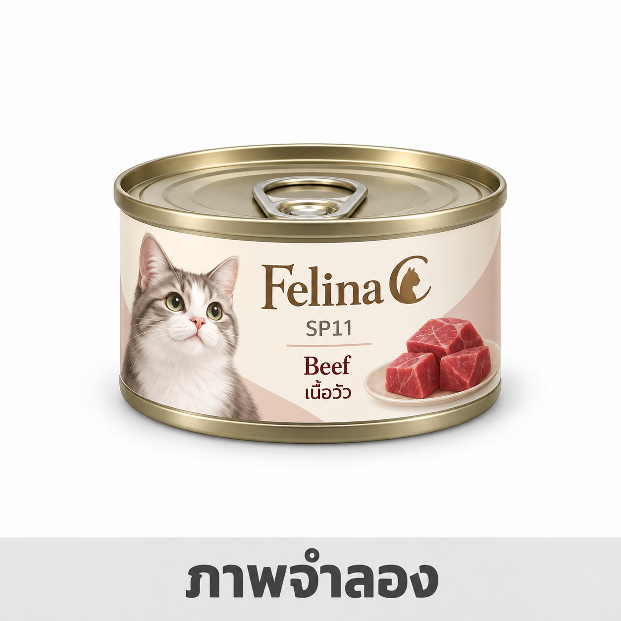 Felina C 70g กป./SP11 Beef