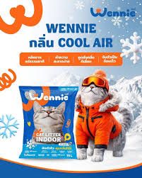 Wennie 10L Cool Air