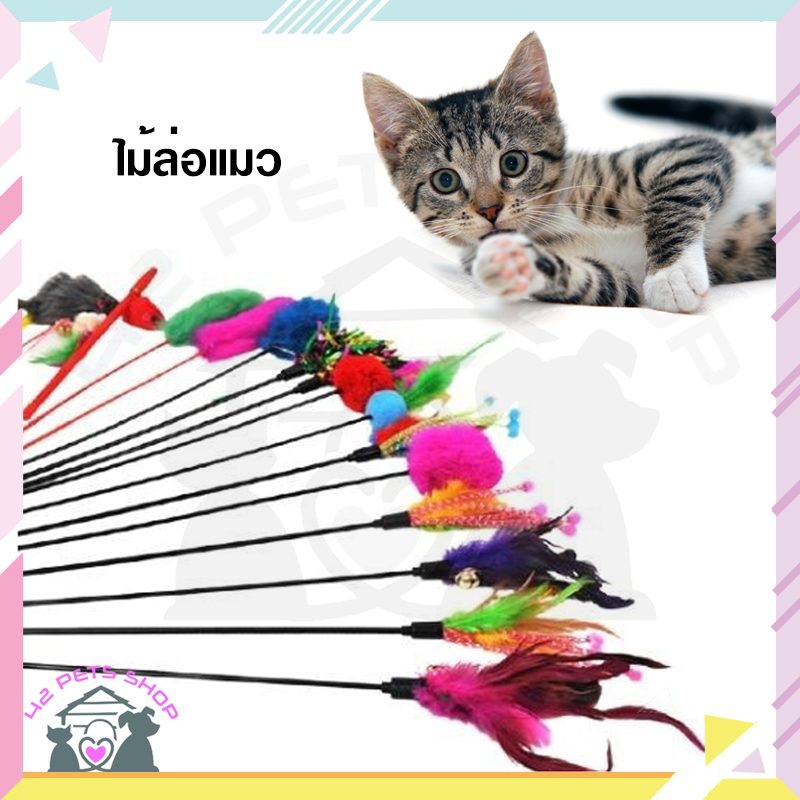 ไม้แมว ก้านไม้(3)