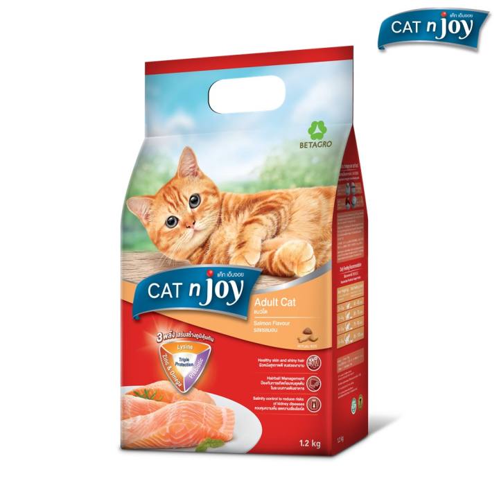 CNJ ถุง 3.0Kg โต ปลาแซลม่อน Salmon