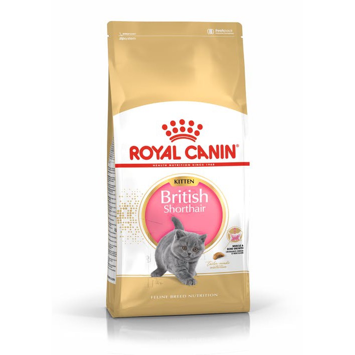 Royal canin-C กส.10 kg British shorthair Kitten