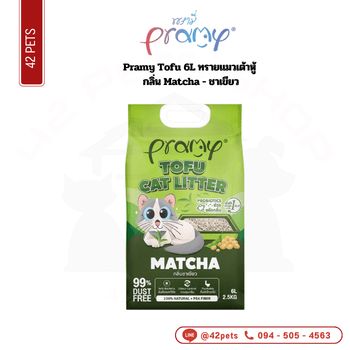 Pramy ทรายเต้าหู้ 6L – Matcha ชาเขียว