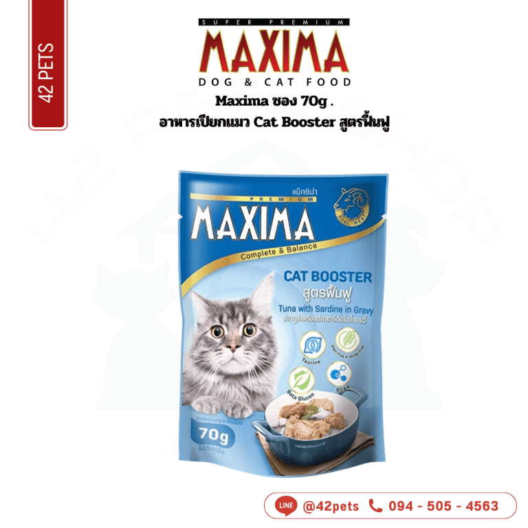 Maxima ลัง 70g Cat Booster สูตรฟื้นฟู