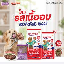 RAPTOR-Dog RD23 กส 20kg Roasted Beef ( เนื้ออบ )