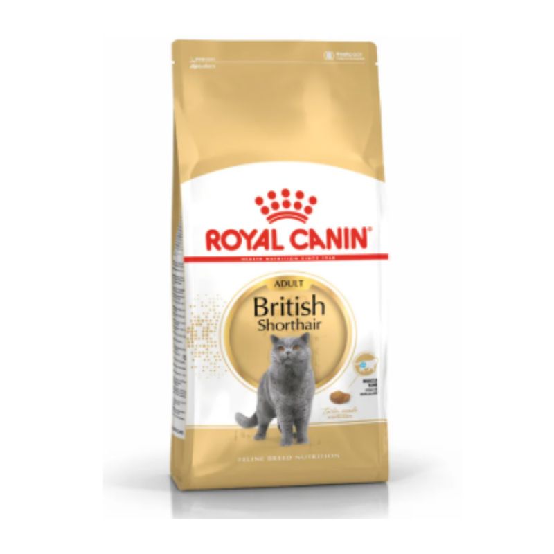 Royal canin-C กส.10 kg British shorthair Adult