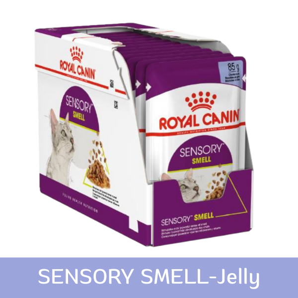Royal canin-C 85g ซอง SENSORY SMELL-Jelly