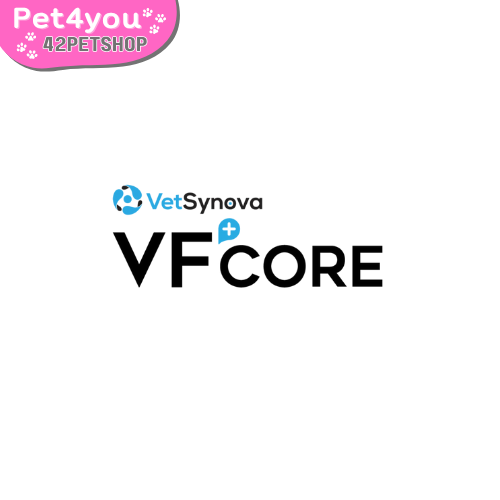 Vf+Core (วีเอฟ คอร์+)