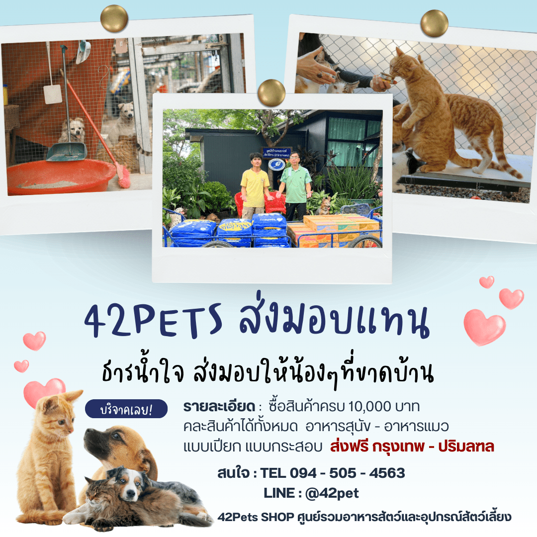 🐾 42PETS SHOP ศูนย์รวมอาหารสัตว์และอุปกรณ์สัตว์เลี้ยง 🐾 ธารน้ำใจ ส่งมอบแทน