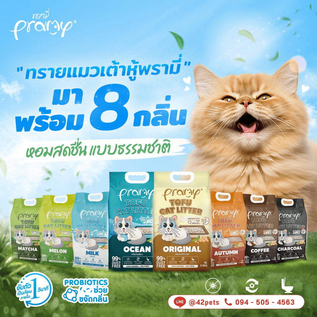 Pramy ✨ ใหม่! พรามี่ ทรายแมวเต้าหู้ 8 กลิ่นหอมธรรมชาติ ✨