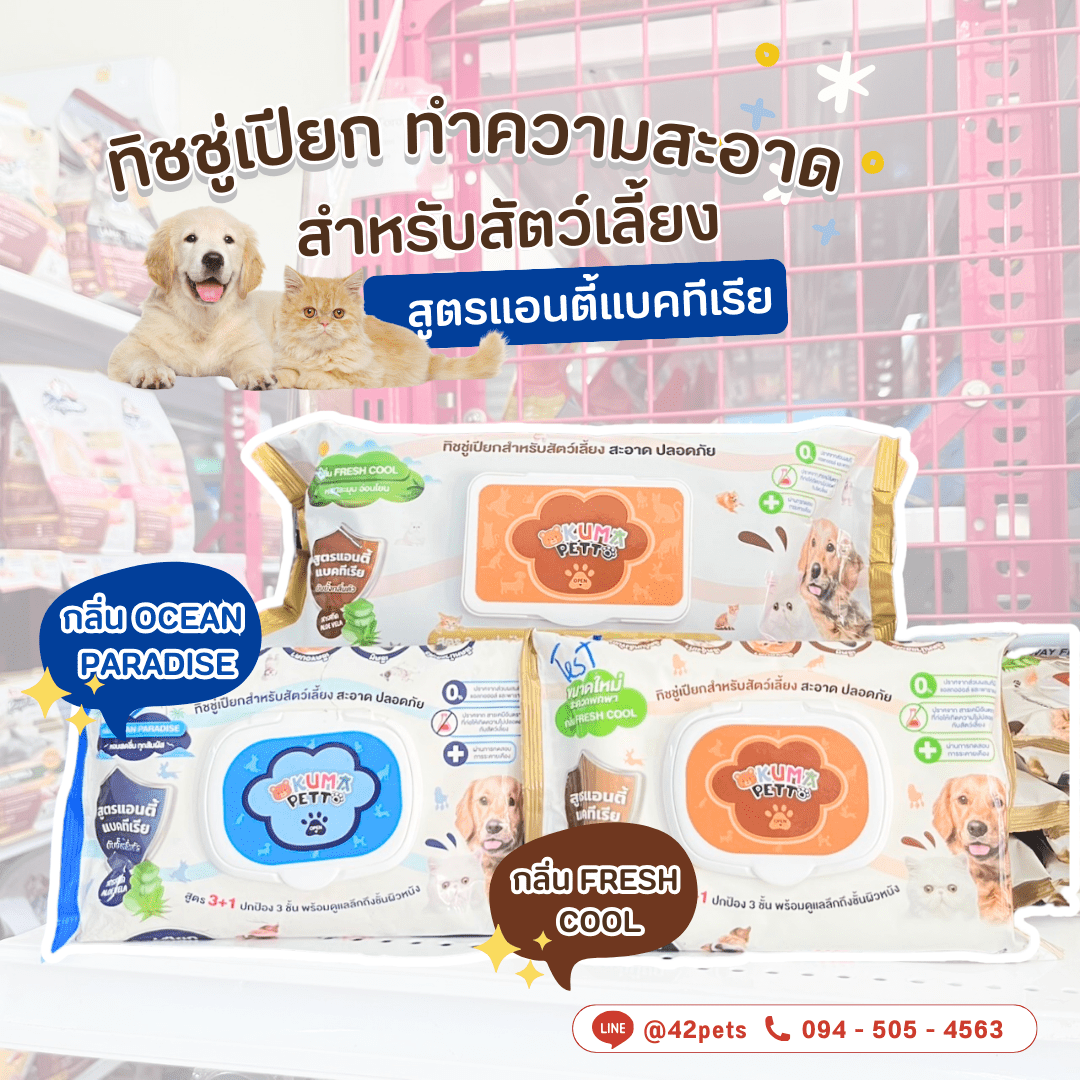✨ KUMA PETTO ทิชชู่เปียกสำหรับสัตว์เลี้ยง สูตร 3+1