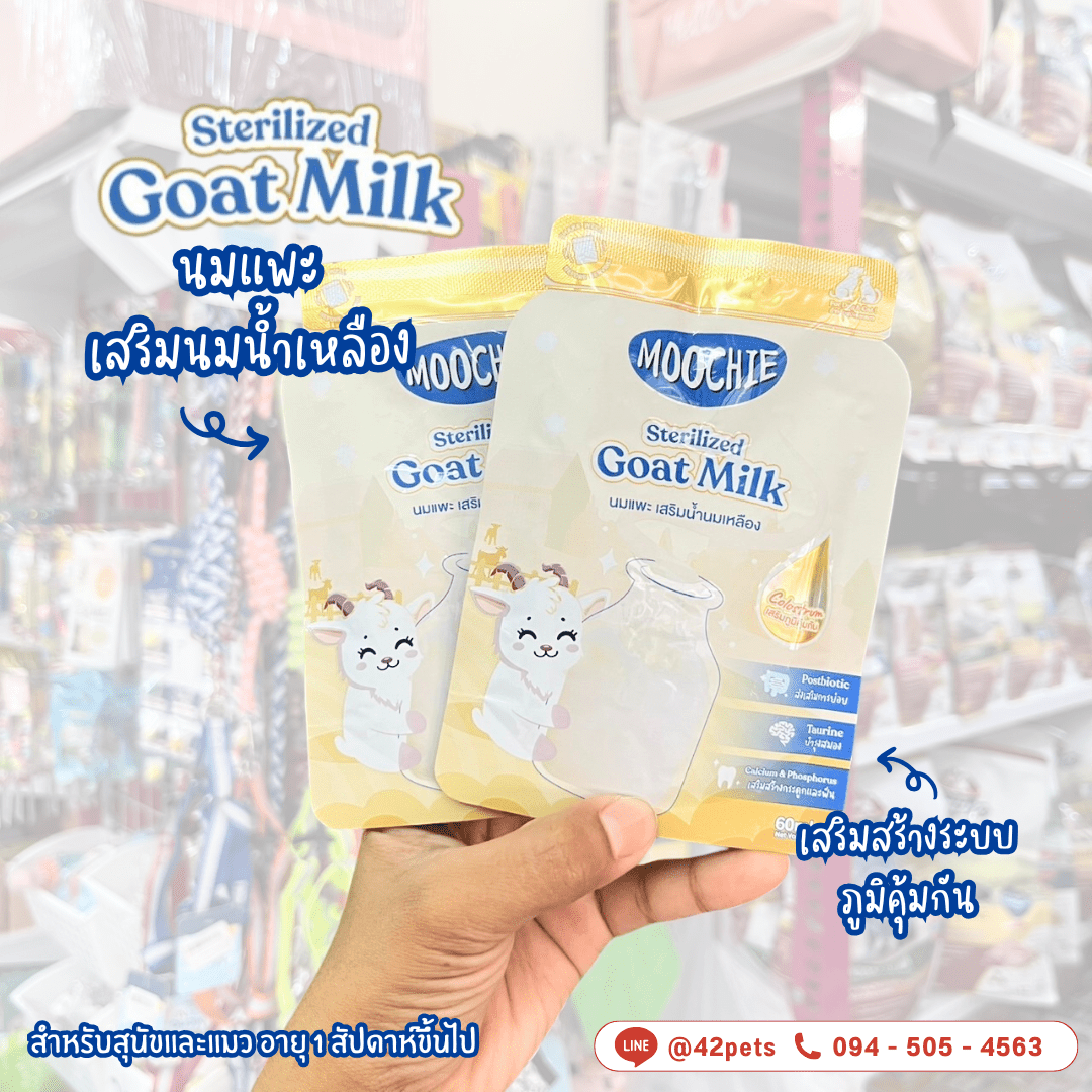 🥛 Moochie Sterilized Goat Milk Recipe สำหรับน้องหมาและแมว 🐶🐱 นมแพะนำเข้าจากนิวซีแลนด์ 🇳🇿 เสริมสร้างสุขภาพแบบจัดเต็ม!