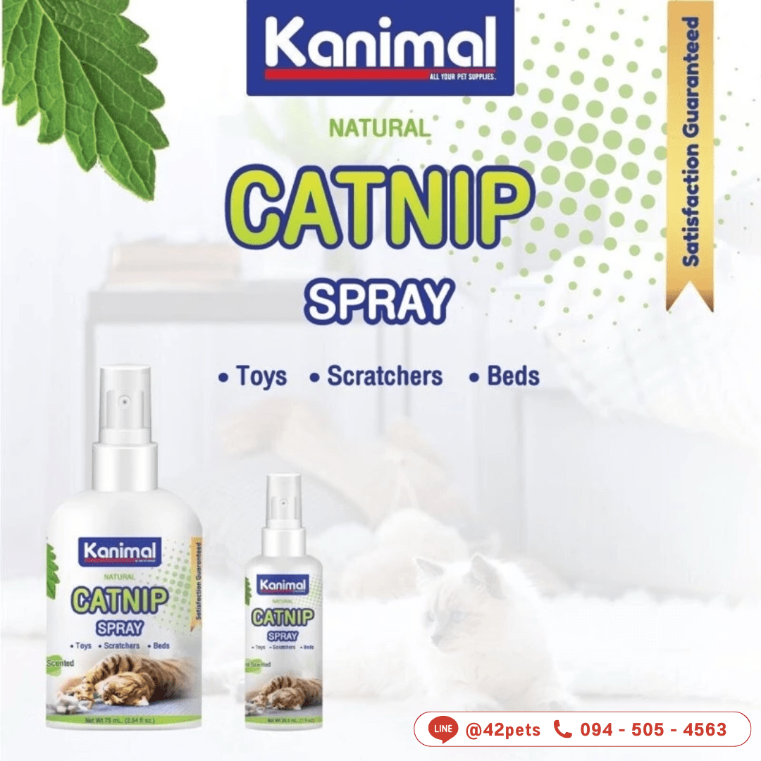 Kanimal Catnip Spray 🐱✨ สเปรย์แคทนิปสูตรธรรมชาติ 100%