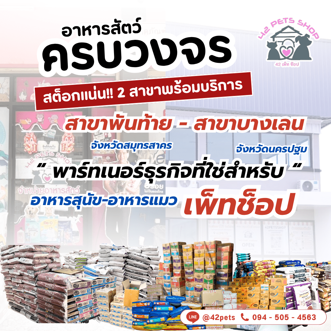 🐾 42PETSSHOP ราคาปลีก-ราคาส่ง ✨ อาหารสัตว์เลี้ยงครบวงจร ✨