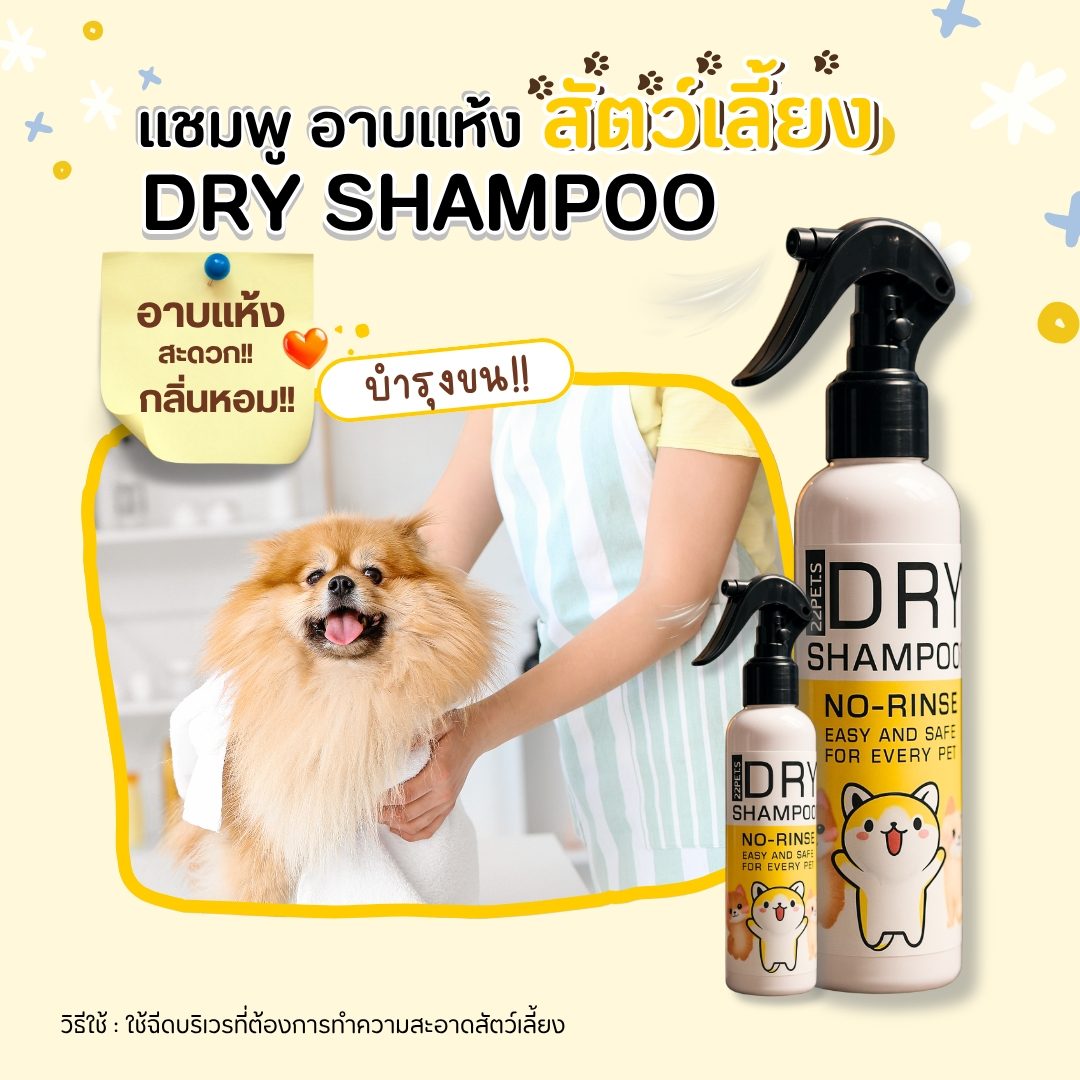 🐶✨ Dry Shampoo 42petsshop ✨🐱