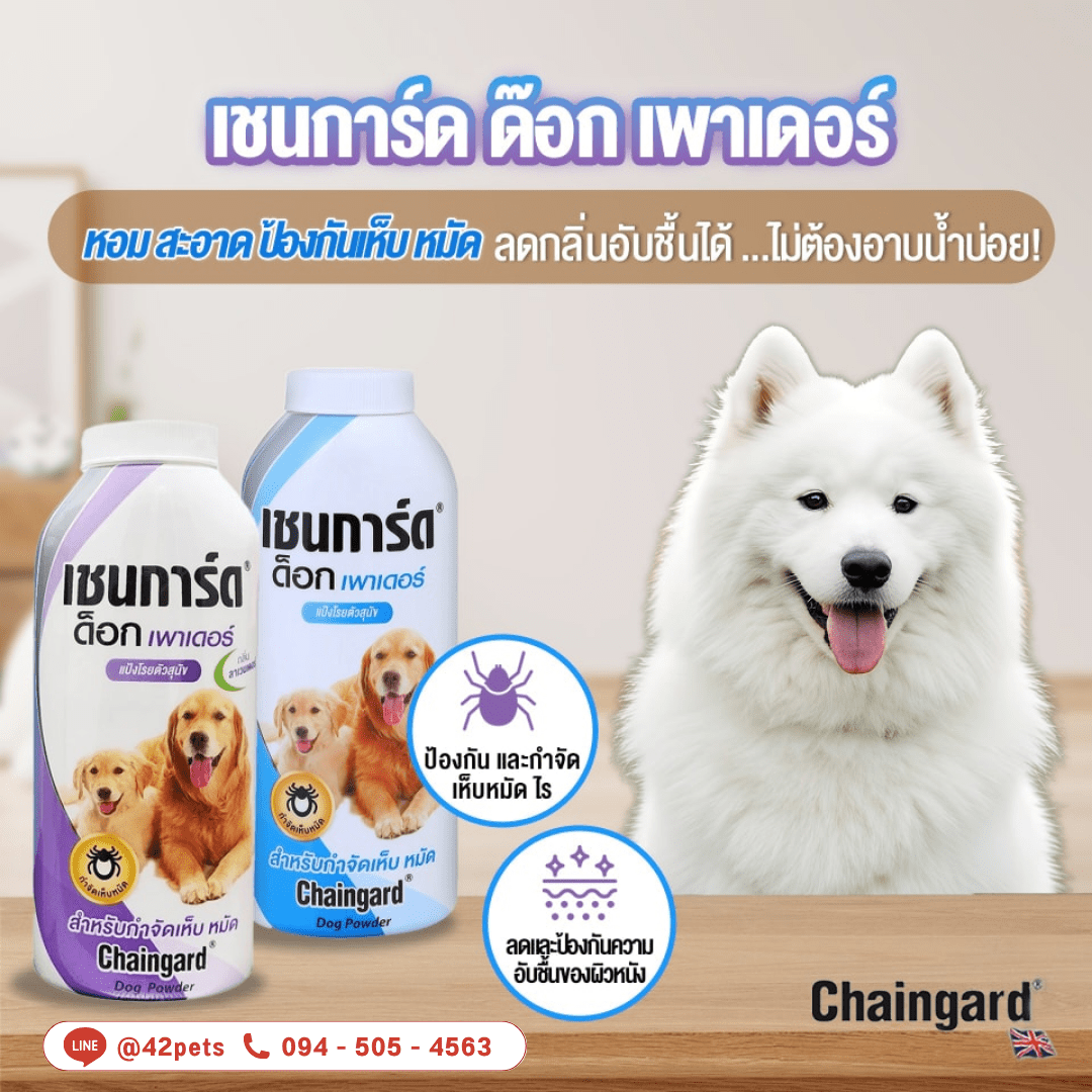 🧼🐶 Chaingard แป้งโรยตัวสุนัข กำจัดเห็บหมัดอย่างมีประสิทธิภาพ! เชนการ์ด ด๊อก เพาเดอร์ ขนาด 200 กรัม ✨