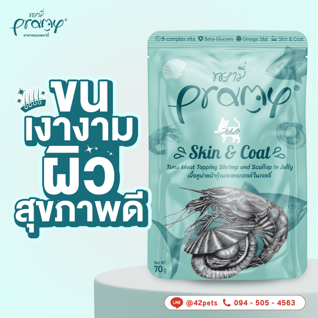 🐱 Pramy AD4 แมวโต 70g (ซองสีเขียว)   ซื้อแยกแบบซอง/แบบโหล/ยกลัง