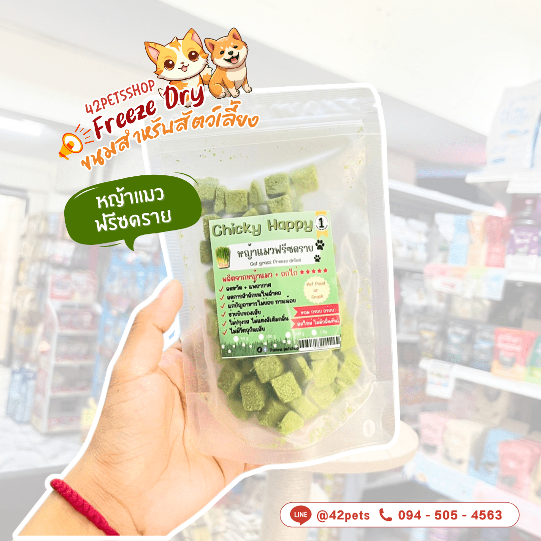 🐾 Freeze Dry ขนมสัตว์เลี้ยง 🍖 ขนมธรรมชาติ 💯 ไม่ปรุงรส ไม่แต่งสี ❌