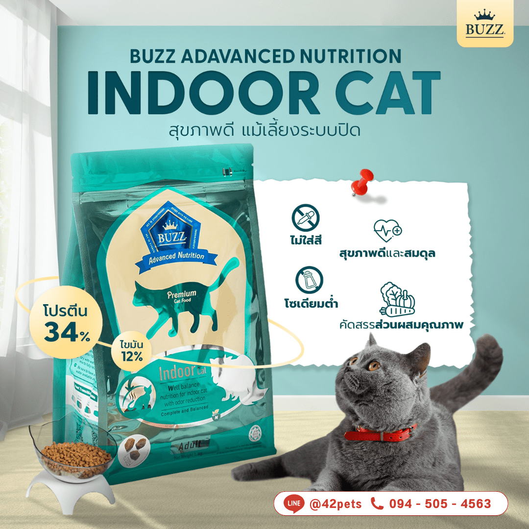 😺 Buzz บัซซ์ อาหารแมว เกรดพรีเมี่ยม สูตร Indoor (สีเขียว)