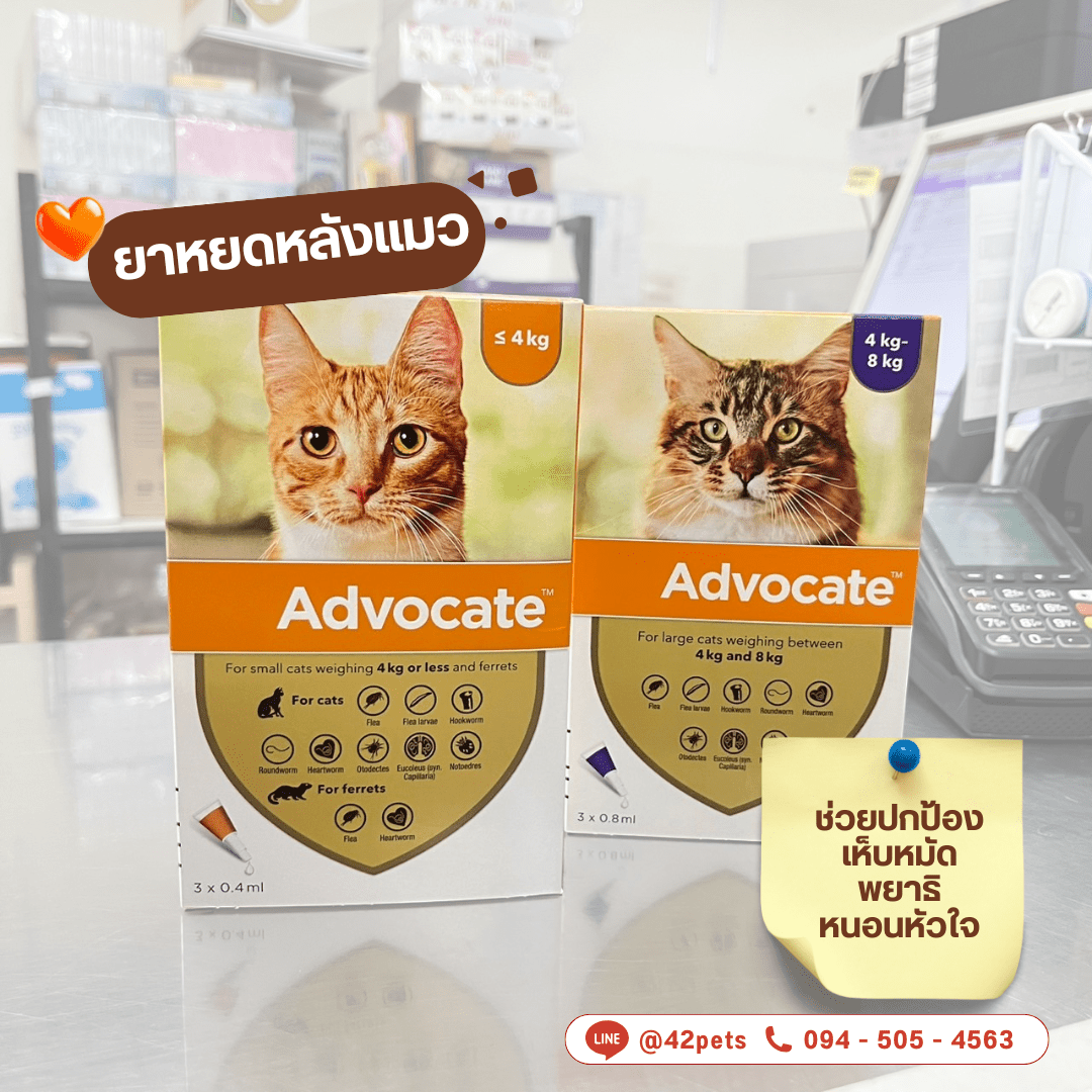 🐾 Advocate Spot On Cat – ปกป้องแมวที่คุณรัก ครบจบในหลอดเดียว! 🐱💖