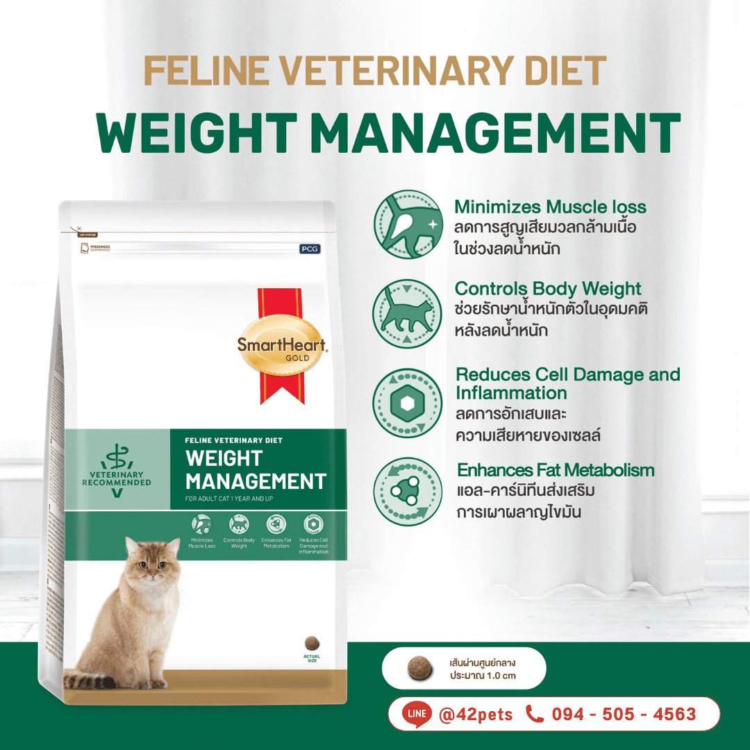 𝗦𝗺𝗮𝗿𝘁𝗛𝗲𝗮𝗿𝘁 𝗚𝗼𝗹𝗱 𝗩𝗲𝘁𝗲𝗿𝗶𝗻𝗮𝗿𝘆 𝗗𝗶𝗲𝘁 𝗪𝗘𝗜𝗚𝗛𝗧 𝗠𝗔𝗡𝗔𝗚𝗘𝗠𝗘𝗡𝗧 อาหารประกอบการควบคุมน้ำหนักสำหรับแมว  ขนาด 1.5kg c]t 400g.