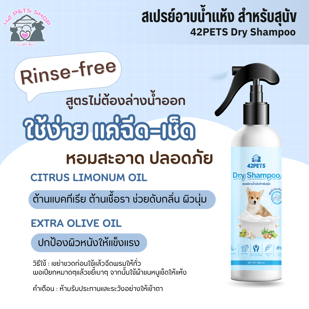 ✨ 42Pets – สเปรย์อาบน้ำแห้งสำหรับสุนัข