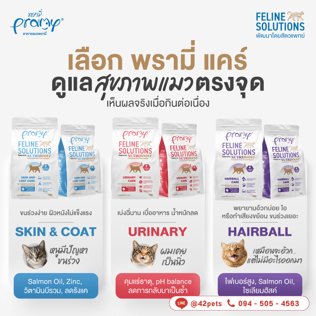 𝐏𝐑𝐀𝐌𝐘 𝐅𝐄𝐋𝐈𝐍𝐄 𝐒𝐎𝐋𝐔𝐓𝐈𝐎𝐍𝐒 ใหม่!  พัฒนาโดยสัตวแพทย์ ใส่ใจทุกดีเทลแบบมืออาชีพ