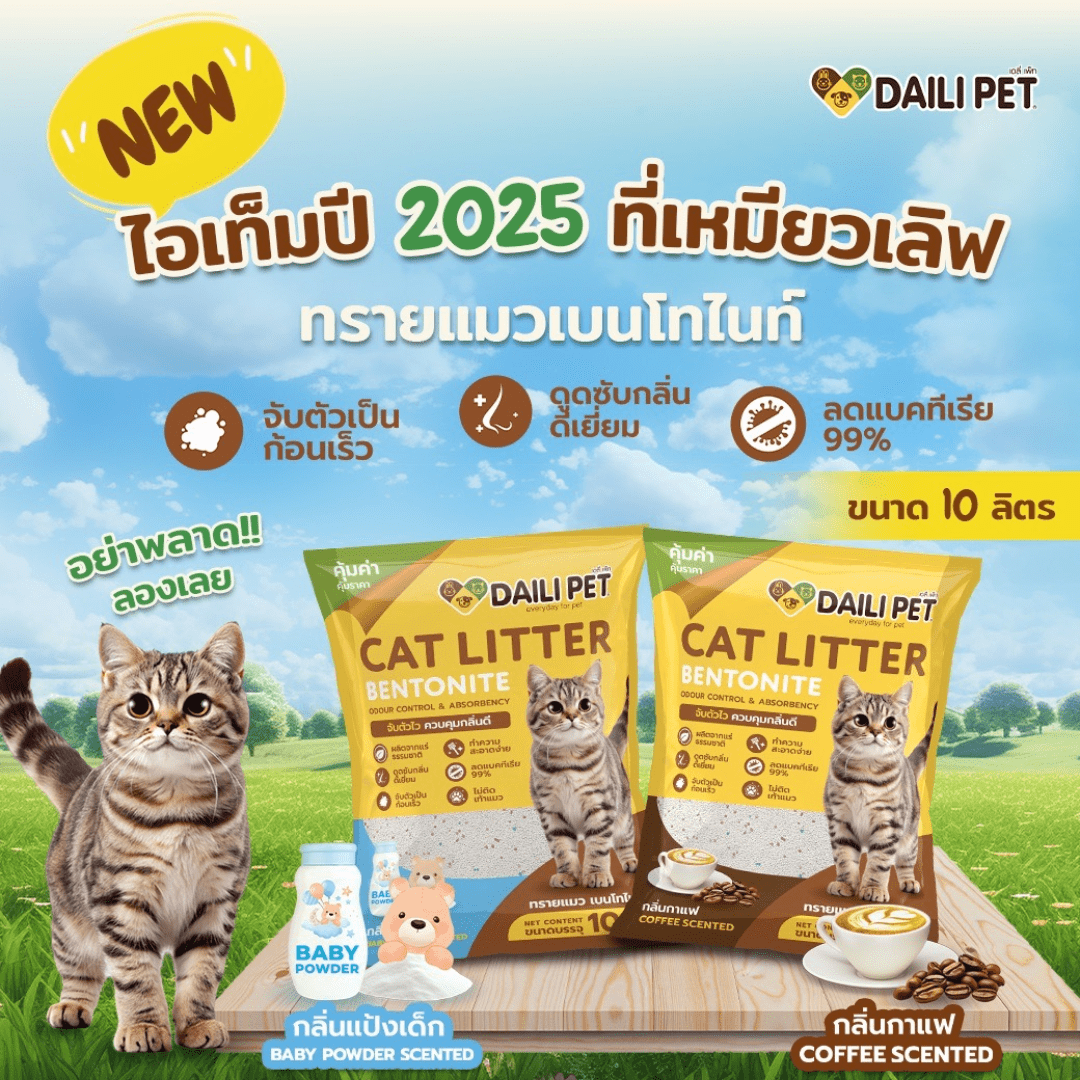 ✨🐱 DAILI PET ทรายแมวเบนโทไนท์ 10 ลิตร ✨ 💯 เต็ม 10 ไม่หัก!! รักเลยทาสแมวต้องมี 🫶🏻