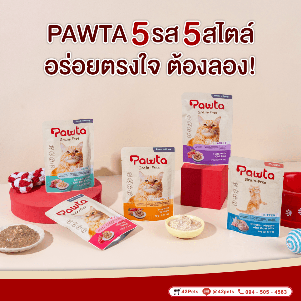 Pawta พาวต้า อาหารเปียกแมว 5 รสชาติความอร่อย ที่เหมียวต้องลอง! 😻🍽