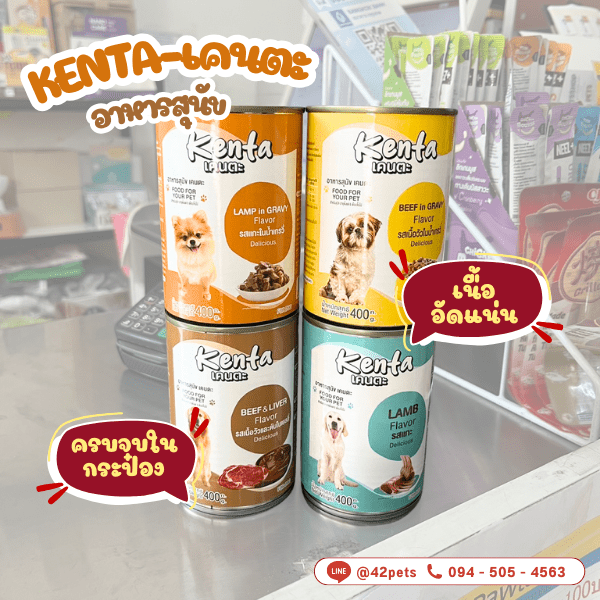 อาหารกระป๋องสุนัข “Kenta” 📢ช่วงเปิดตัวแนะนำน้องใหม่ 📢