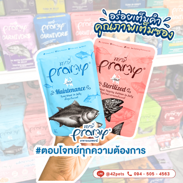 ✨ ใหม่! PRAMY Classic อาหารเปียกแมวพรีเมี่ยม ✨ 📦 ขนาด 70 กรัม | คุณภาพ Super Premium | ผลิตจากปลาเนื้อขาวแท้ ๆ 🍣