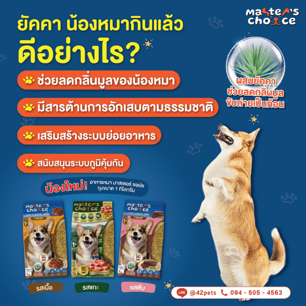 Master’s Choice อาหารสุนัข 1kg.  = มาสเตอร์ ชอย์ซ จะมีอะไรบ้างนะ🧐🔍ไปดูกันเลยยย!