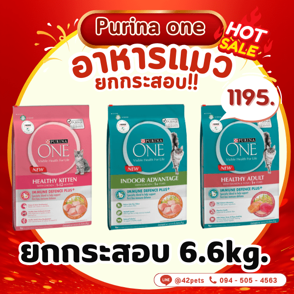 PURINA ONE เพียวริน่าวัน แบบยกกระสอบ 6.6 กิโลกรัม