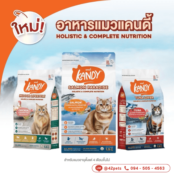 Kandy ( แคนดี้ ) อาหารเม็ดแมว เกรด โฮลิสติก Holistic สำหรับแมวทุกช่วงวัย ไม่เติมเกลือ