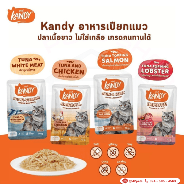 Kandy แคนดี้ อาหารเปียกแมว ไม่ใส่เกลือ ผลิตจากปลาเนื้อขาว ขนาด 70g.