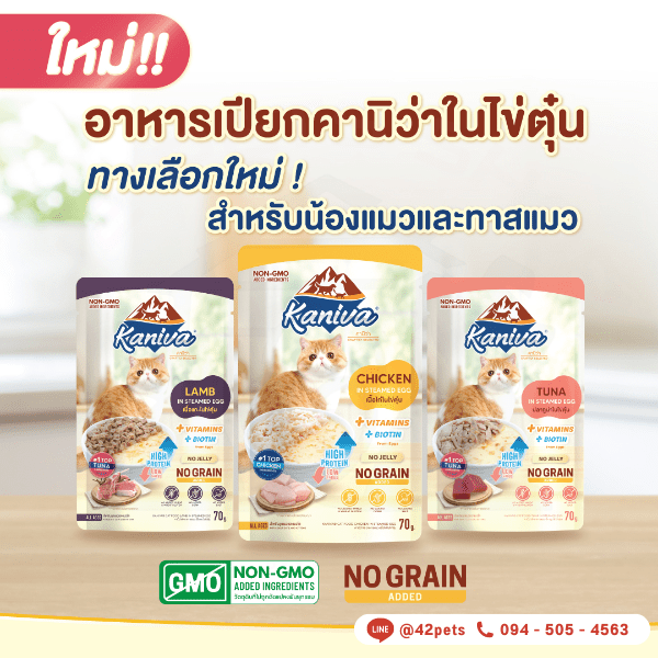 Kaniva In Steamed Egg อาหารเปียกคานิว่า ในไข่ตุ๋น