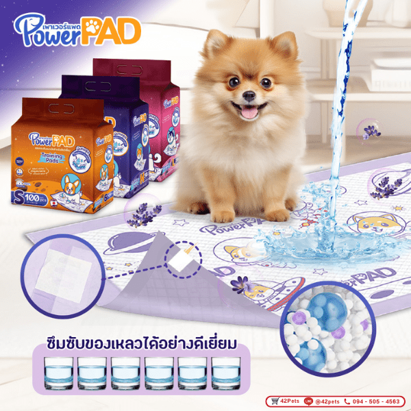 Power Pad แผ่นรองซับอนามัยสัตว์เลี้ยง