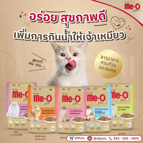 Me-O Gold อาหารเปียกแมว  ใหม่ ของแทร่‼️ ไม่ได้ฝันไป “อาหารเปียก มีโอ โกลด์” ส่วนผสมหลักจากเนื้อไก่เน้นๆ