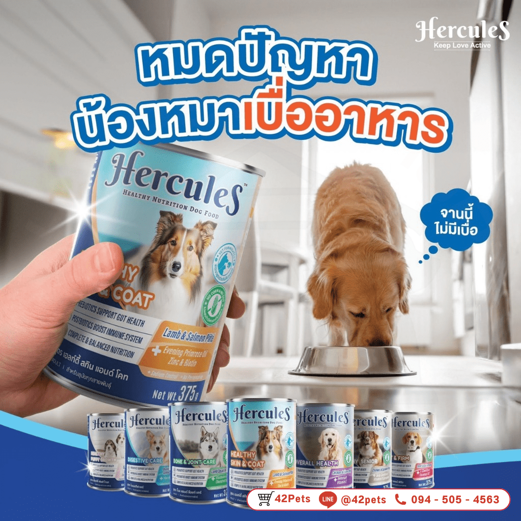 Hercules เฮอร์คิวลิส 375ก. อาหารกระป๋องสุนัขพรีเมียม แบบกระป๋อง สำหรับพันธุ์กลาง – ใหญ่