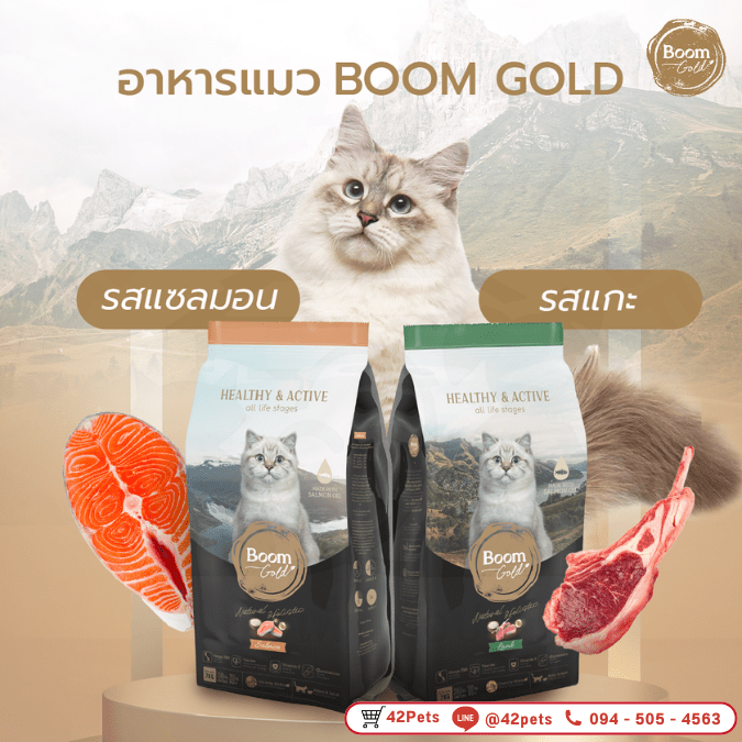 Boom Gold อาหารแมวเกรดพรีเมียม