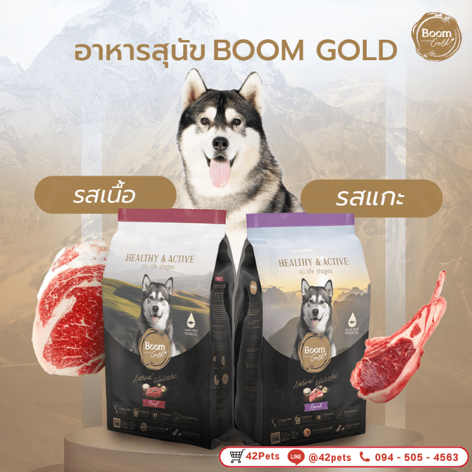 Boom Gold อาหารสำหรับสุนัข เกรดพรีเมียม