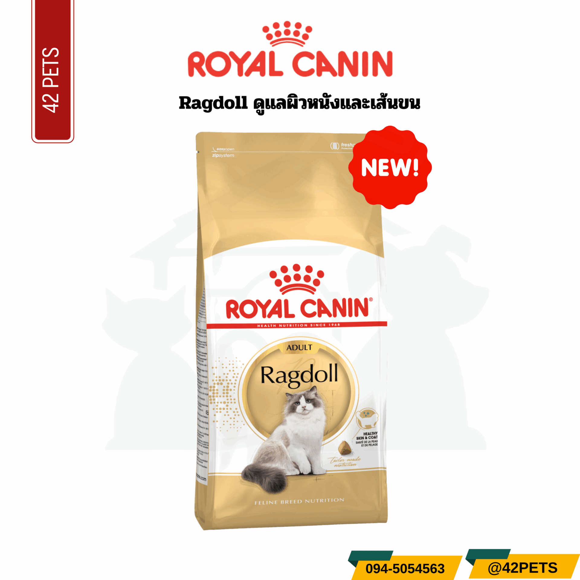 Royal Canin เพื่อเจ้าเหมียวที่รัก… เปิดตัวเร็วๆนี้! ✨ อาหารน้องแมว 4 สูตรใหม่จากโรยัลคานิน