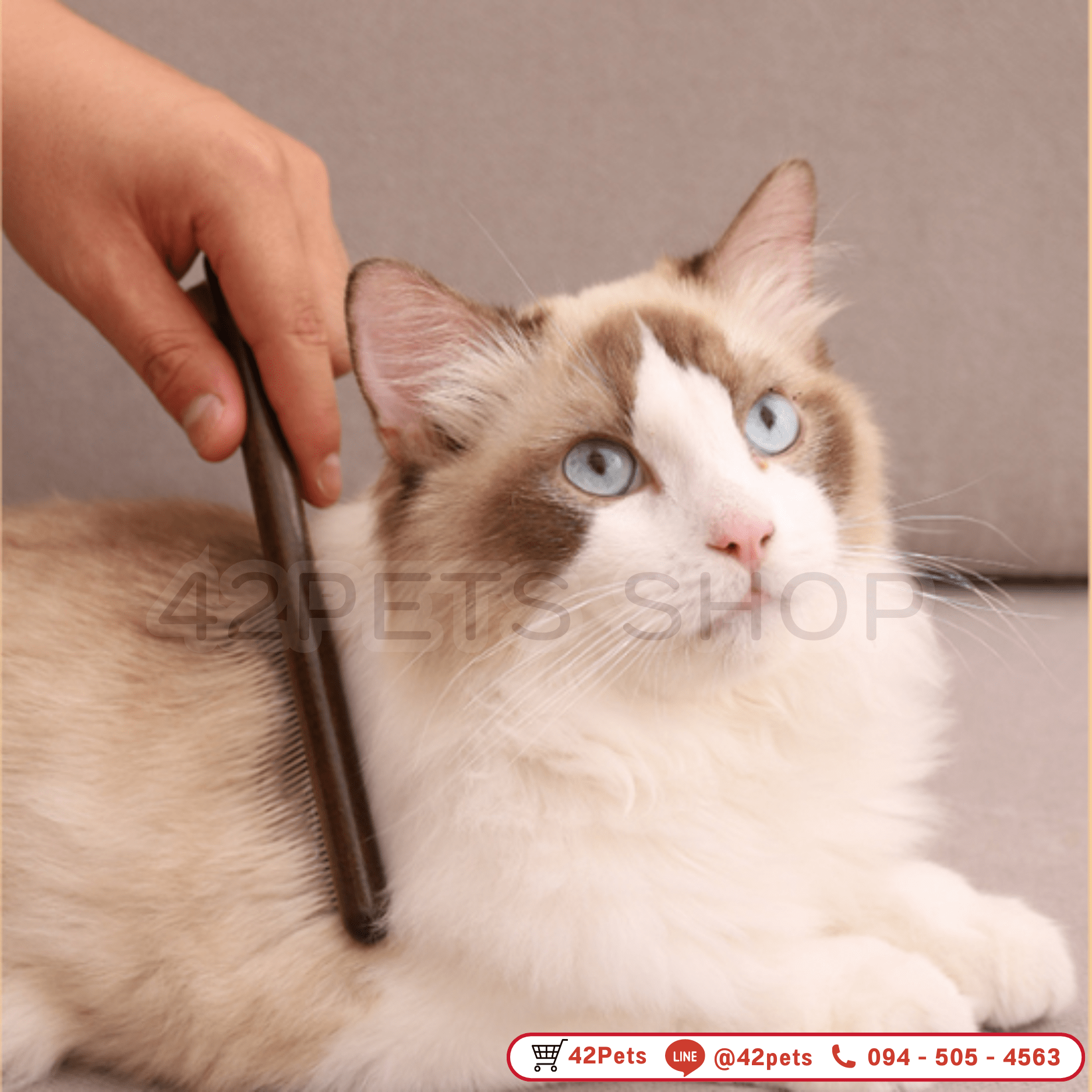42Pets – หวีแปรงขนแมว หวีสางขนแมว หวีแปรงขนสุนัข พร้อมส่ง!!!
