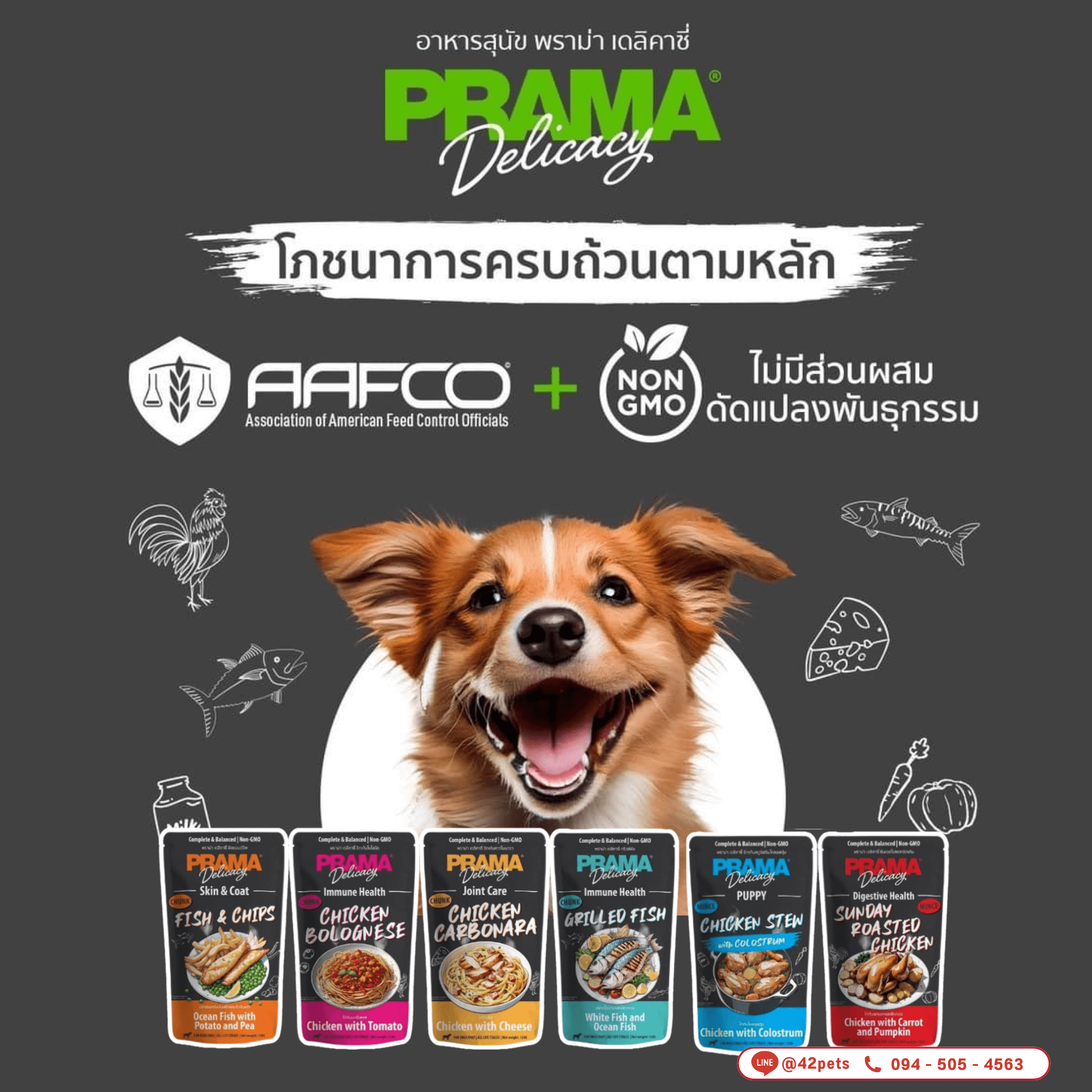 PRAMA  ใหม่!!! พบกับอาหารเปียกสุนัขพราม่า (PRAMA) เต็มไปด้วยคุณประโยชน์!!! 🔥