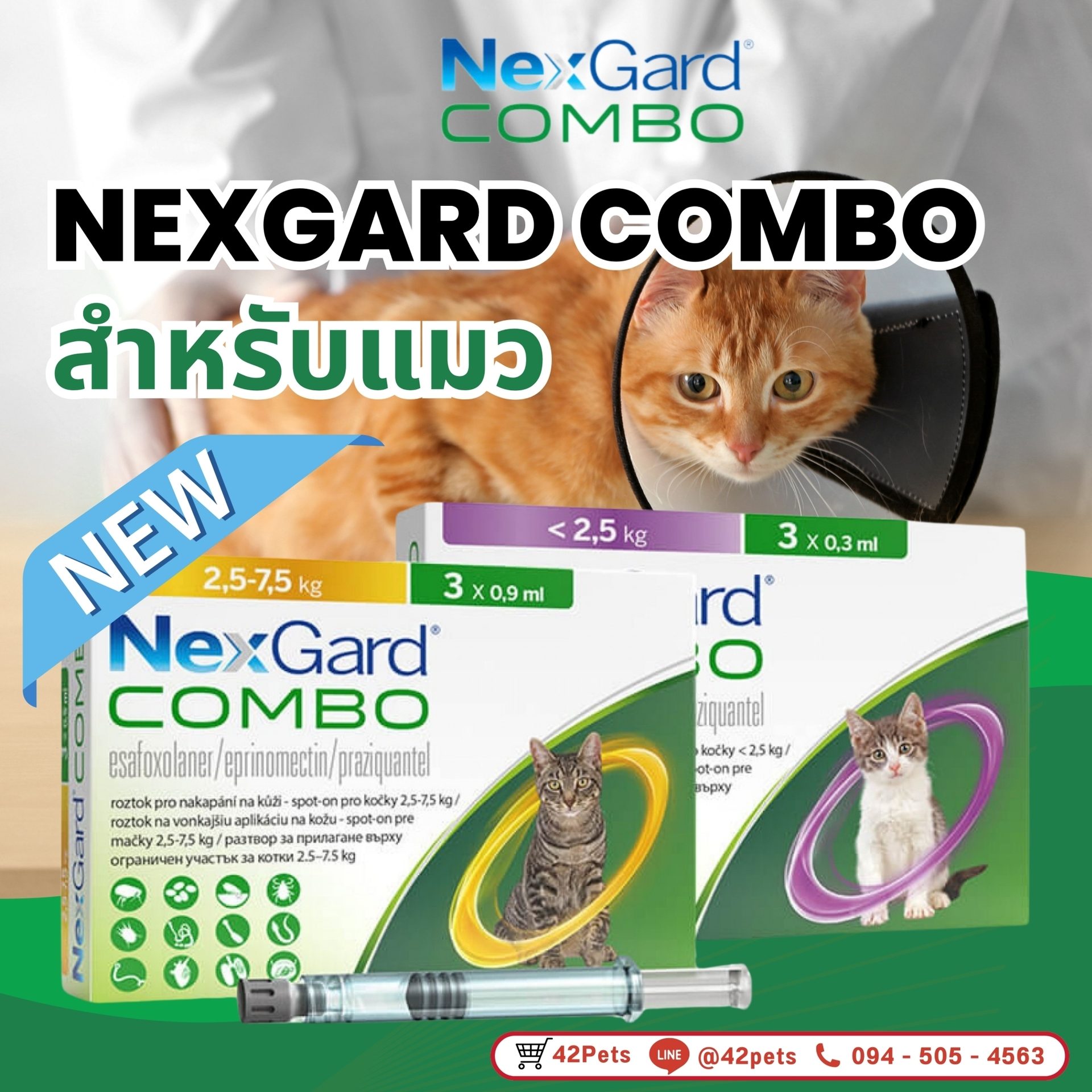 NEXGARD COMBO สำหรับแมว ป้องกันและกำจัด เห้บ หมัด ไรหู ไรขี้เรื้อนแห้ง ตัวเรือด