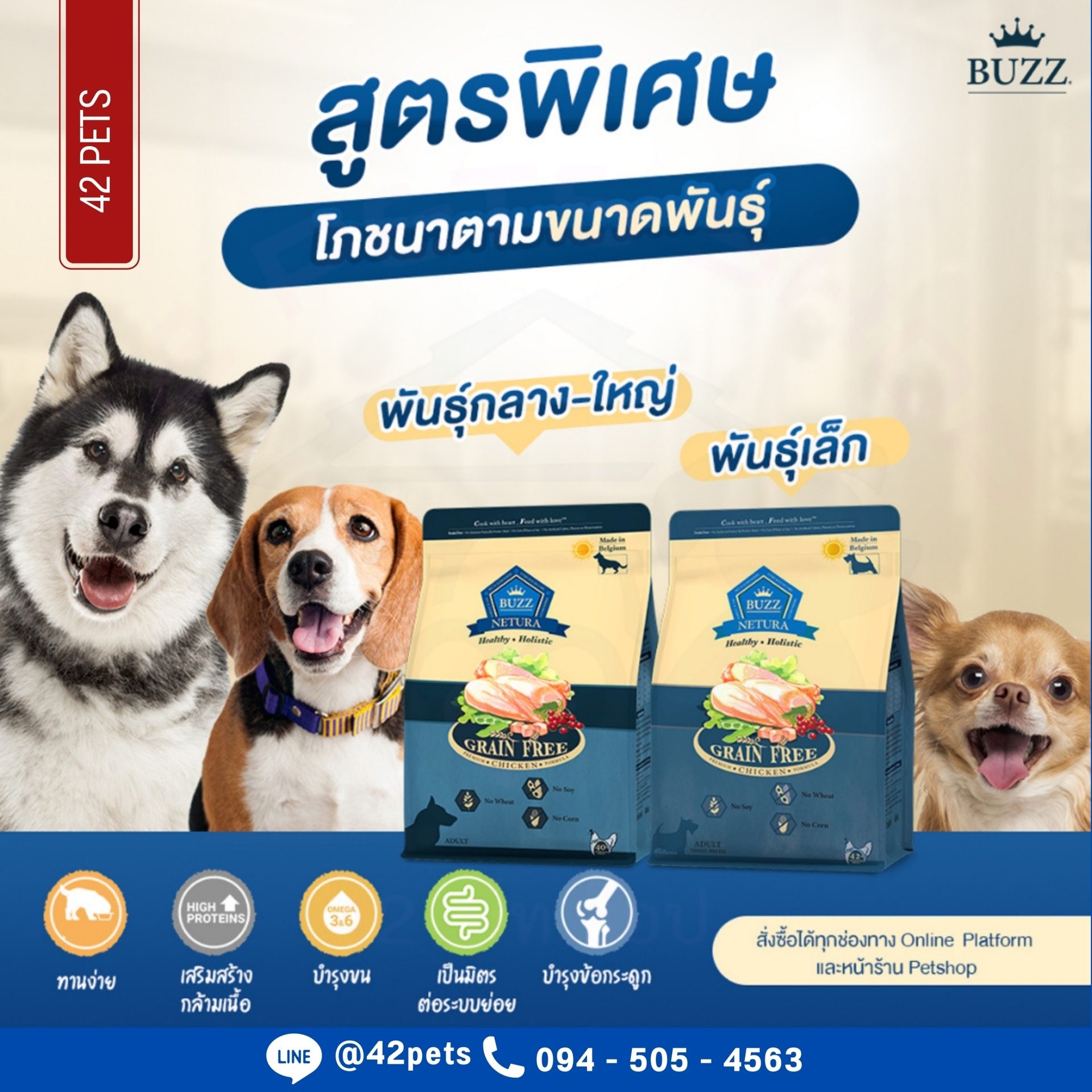 Buzz netura บัซซ์ อาหารเม็ดสุนัข พรีเมียม โฮลิสติก-เกรนฟรี รสไก่