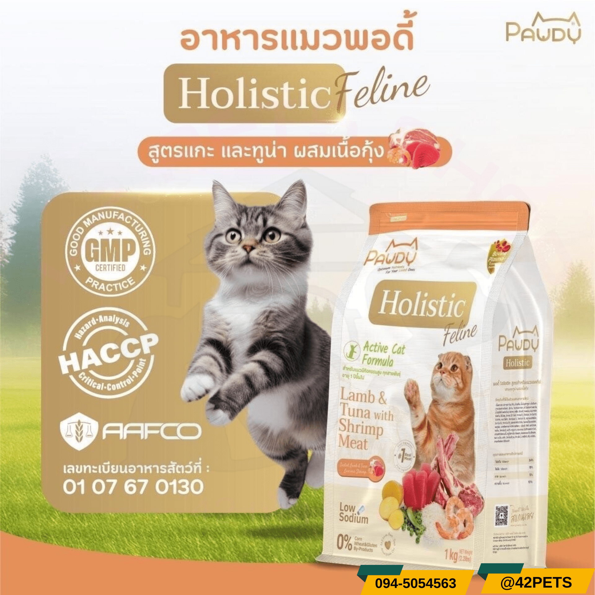 Pawdy Holistic สูตรแกะและทูน่าผสมเนื้อกุ้ง Active Cat Formular