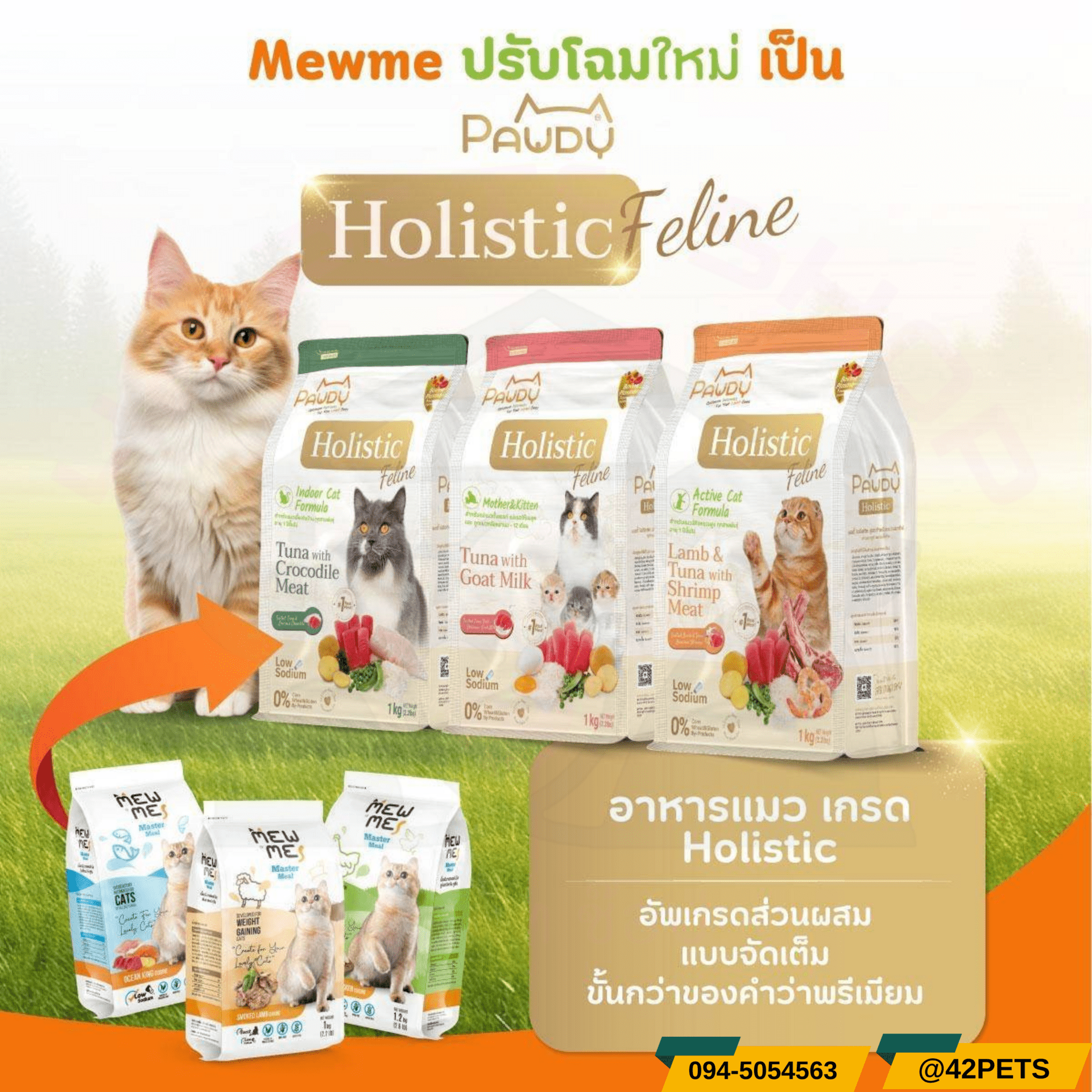 Pawdy Holistic Feline อาหารแมว 🎉 พลิกโฉมวงการอาหารแมว!!  จาก Mewme สู่ Pawdy Holistic Feline🐱💚