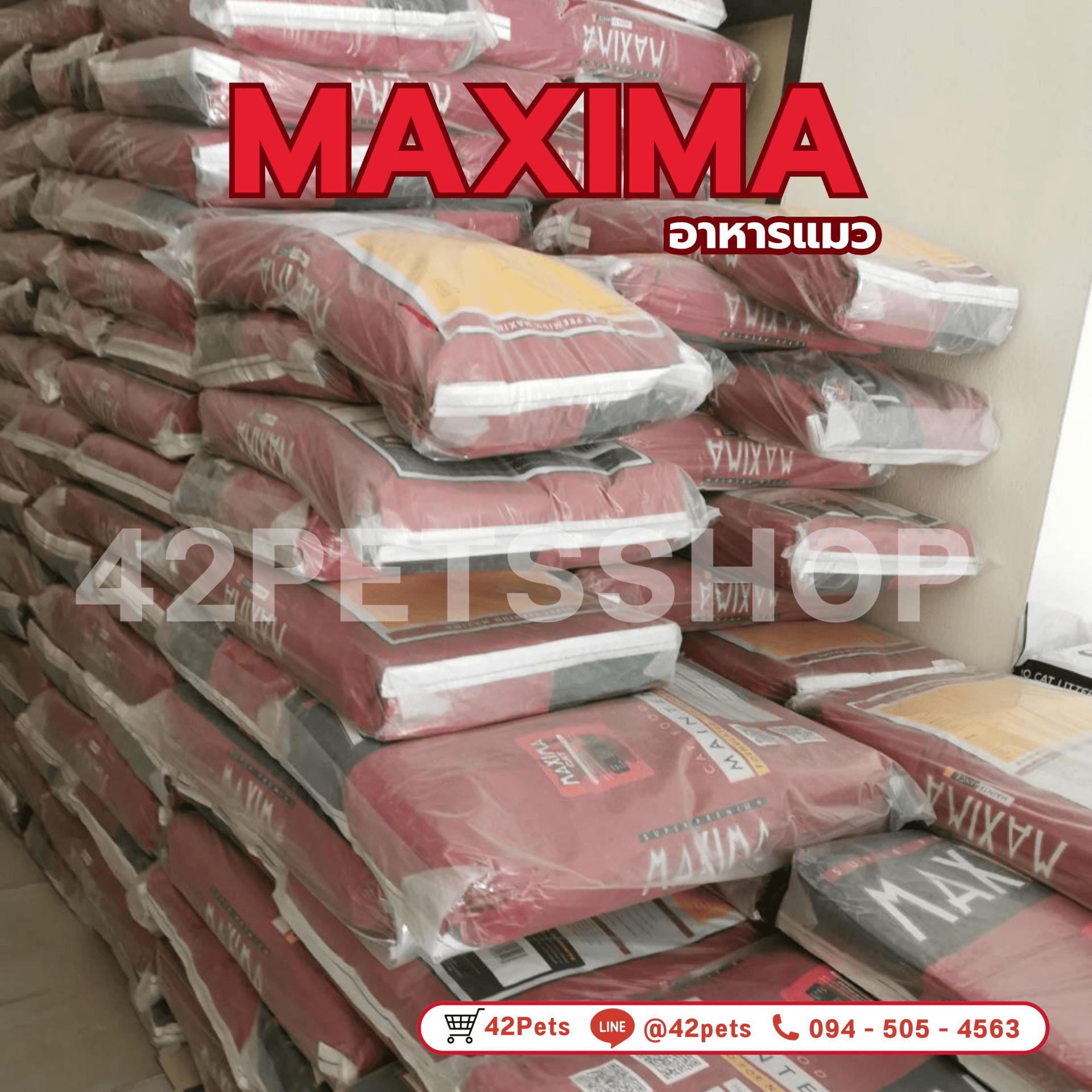 🐱  Maxima มาแล้วจ้าาา สต็อกแน่นราคาถูก ขนาดนี้ ไม่ซื้อจะอดใจไหวไหมน้ออ!!🐱