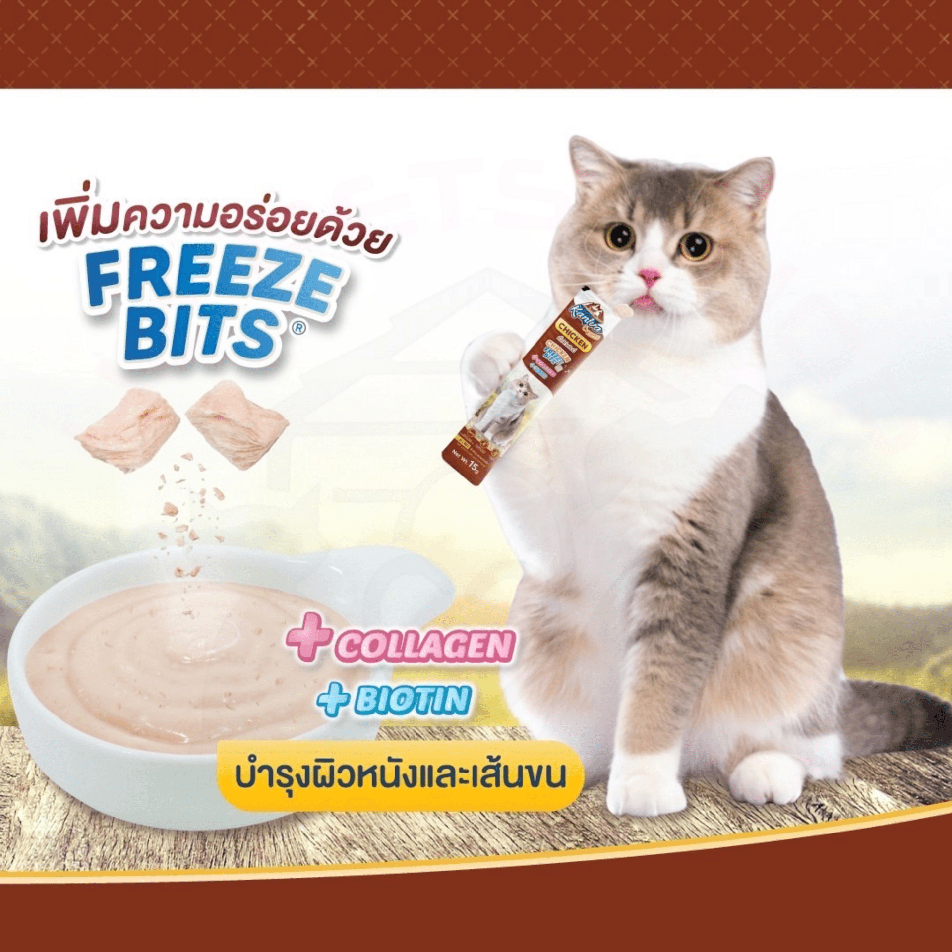 ใหม่!! KANIVA CREAMY TREAT ขนมแมวเลียสุดพิเศษ 😻 ขนาด 15g.4ซอง